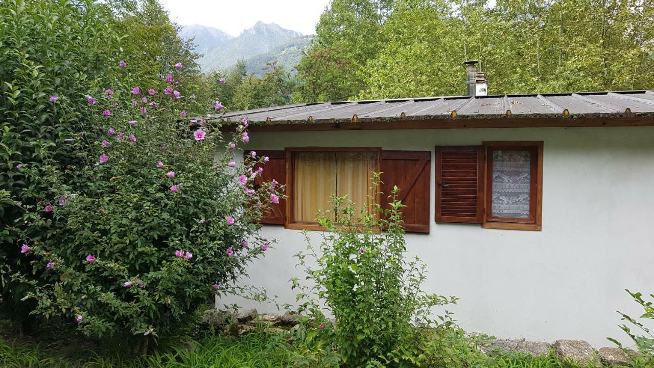 Crotto Caraco Appartamenti Bungalow Chalet 포를레차 외부 사진