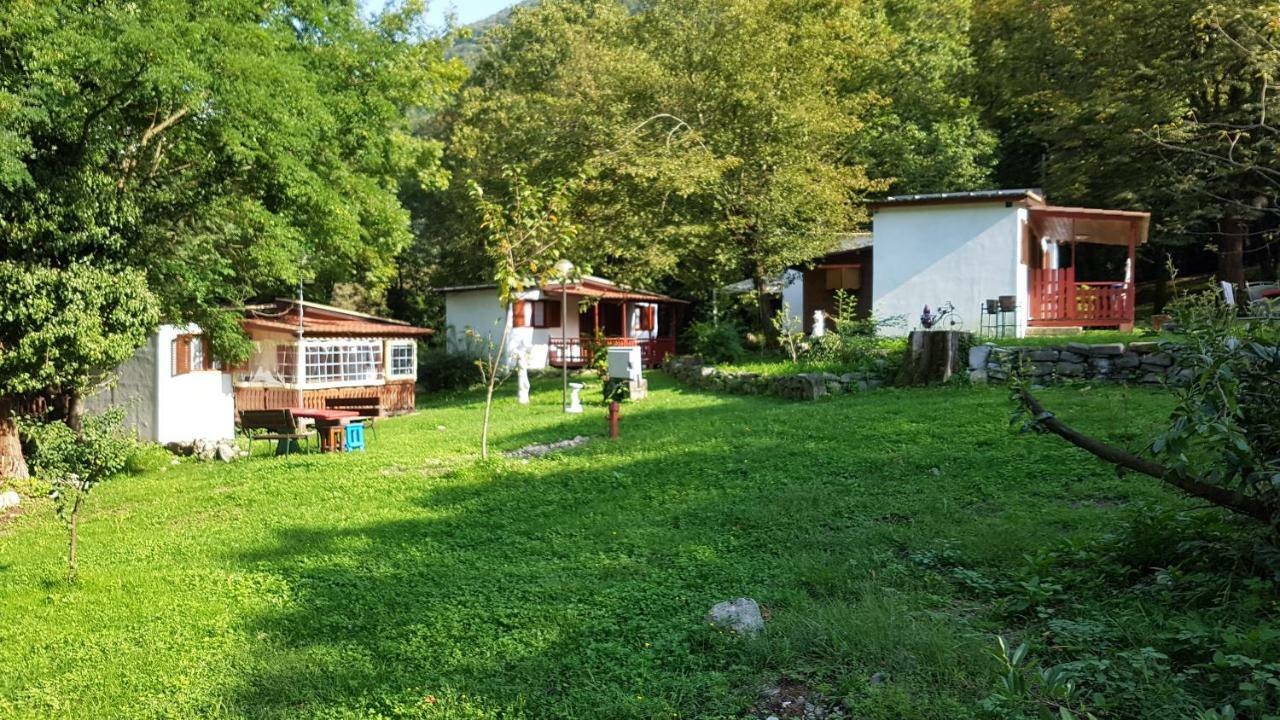 Crotto Caraco Appartamenti Bungalow Chalet 포를레차 외부 사진